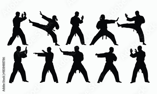 Karate Fighter Silhouette Collection Kick and Punch Poses