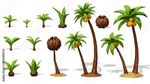 Cartoon palm trees collection white