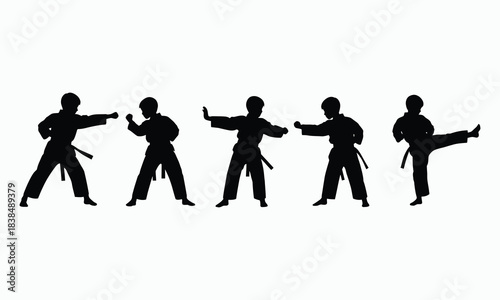 Karate Fighter Silhouette Collection Kick and Punch Poses