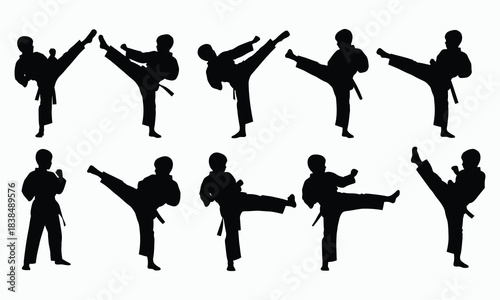 Karate Fighter Silhouette Collection Kick and Punch Poses
