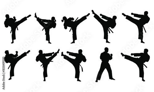 Karate Technique Vector Set  Multiple Action Silhouettes Kick, Punch, Jump Poses Vector