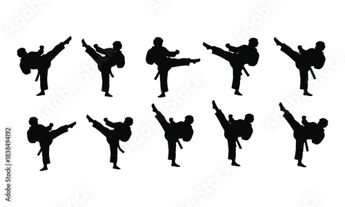 Martial Arts Silhouette Set Karate and Taekwondo Poses