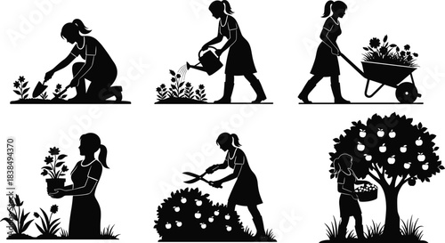 Woman silhouettes gardening planting watering and harvesting plants isolated on white background representing nature eco lifestyle farming and outdoor work