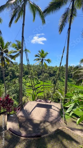 Swing in the rice fields. Typical photogenic tourist attraction in the terraced rice fields on the island of Bali