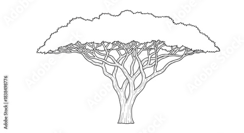 Serene tree line drawing, capturing the essence of nature's artistry with its delicate branches
