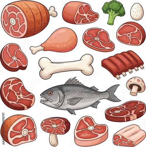 Various meat cuts and protein sources, ham, steak, fish, ribs, drumsticks, egg, bone, food icons, flat vector illustration
