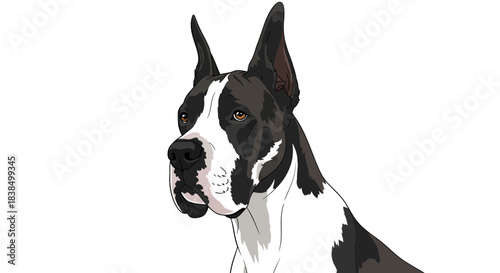 Striking portrait of a harlequin Great Dane showcasing its unique markings and noble features