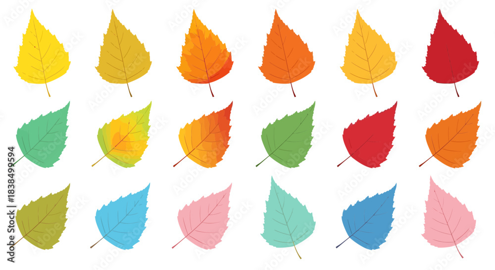 Obraz premium Varied hues of birch leaves displayed in grid pattern against a crisp white canvas