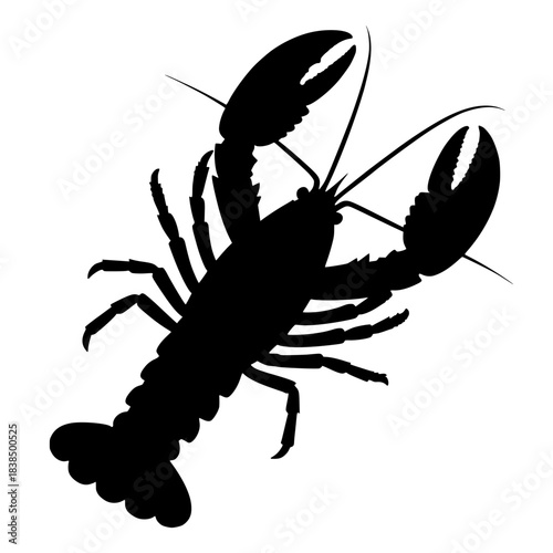 lobster vector illustration