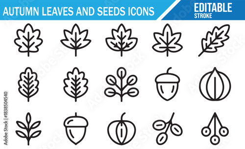 Seasonal fall nature icon set with forest leaves and acorn symbols