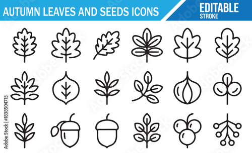 Autumn leaves and seeds editable outline icon set, fall nature symbols collection with acorns and botanical elements in minimal line style