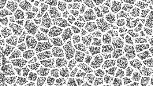 Black and wave scratch line abstract pattern of layered geological strata and textured rock formations background.