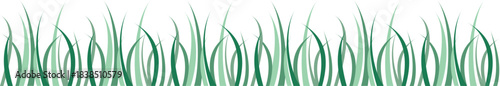 "Green Grass Border Vector – Fresh Lawn Blades Silhouette for Nature, Garden, Spring and Landscape Design"