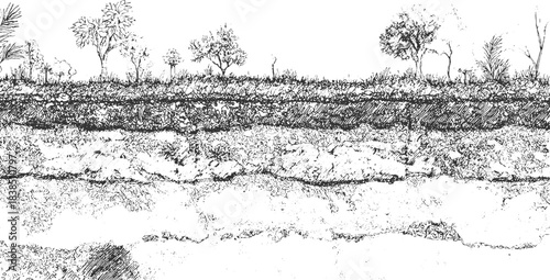 Black and white textured background resembling soil layers and grass roots grunge 
