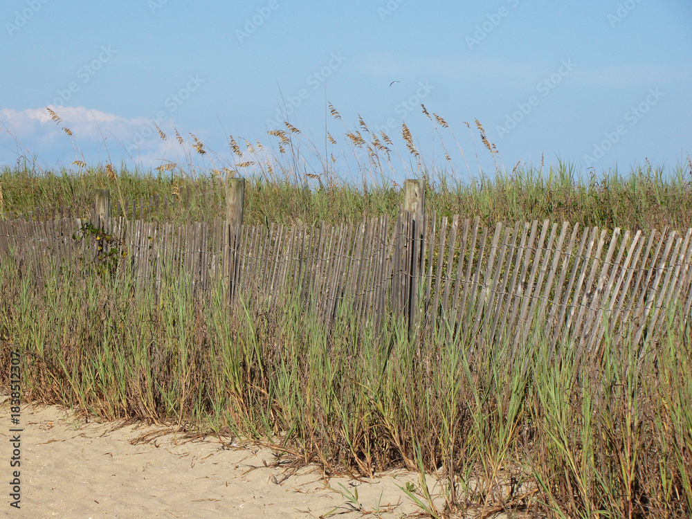 Obraz premium myrtle beach beach fence natural landscape