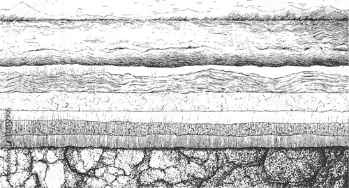 Black and white cross section illustration of soil layers with grass and water vector. Detailed black and white illustration of folded geological strata and rock formations geology. 