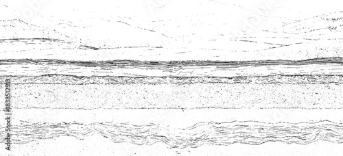 Black and white cross section illustration of soil layers with grass and water vector. Detailed black and white illustration of folded geological strata and rock formations geology. 