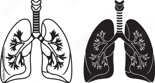 Human Lungs Icon Outline and Silhouette anatomy respiratory on transparent background