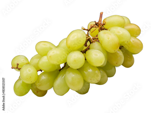 Obraz na plátně Bunch of Grapes Isolated on Transparent