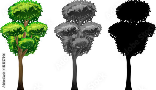 silhouette of a woman with a tree