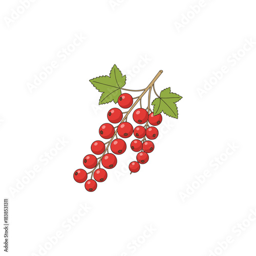 Red currant icon logo flat vector design
