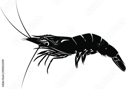 Shrimp Silhouette Illustration for Seafood Design