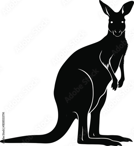 Kangaroo standing silhouette wildlife illustration