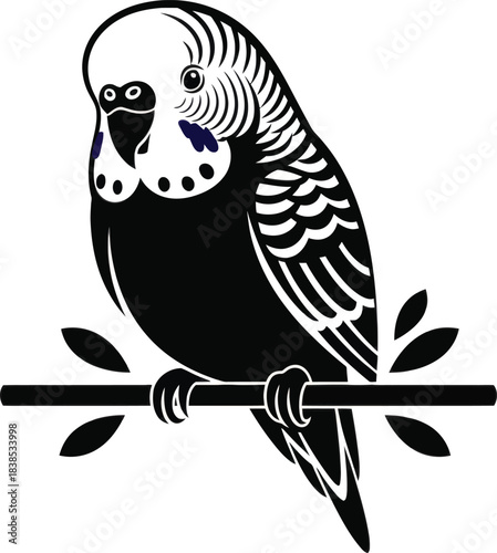 Budgie Parrot on Branch