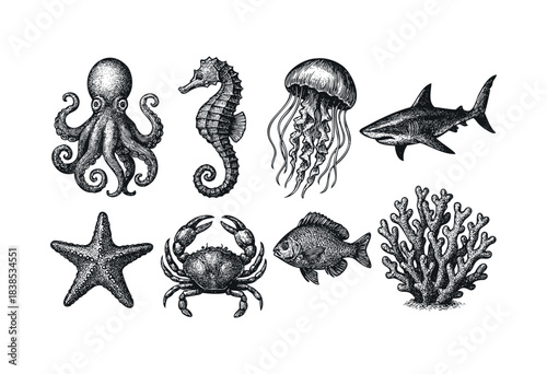 A set of beautifully engraved marine animals including an octopus, seahorse, jellyfish, shark, starfish, crab, fish and coral — stock illustration.