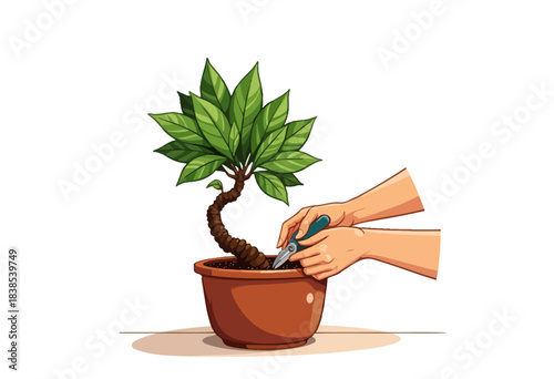 Illustration of Hands Pruning a Bonsai Tree in a Ceramic Pot with Scissors Focusing on Garden Care and Artistic Horticulture Techniques