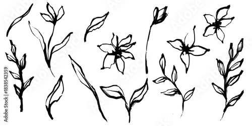 Hand drawn vector china flowers show abstract floral line art in black ink style with monochrome palette for branding packaging invitation decor print use illustration project poster card creative med