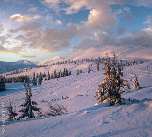 Alpine resort ski slopes and lifts. Pre sunrise morning Svydovets mountain ridge and snow-covered fir trees view, Dragobrat, Ukraine Carpathians.
