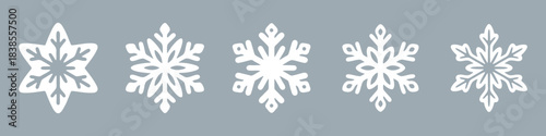 Snowflake set on isolated background.