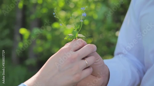 close-up hands man and woman holding a wildflower