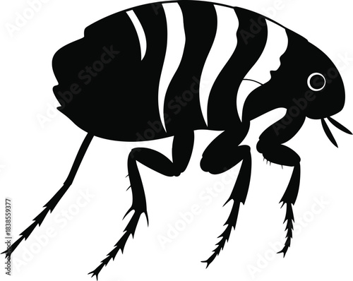 Flea insect silhouette detailed vector for science and biology themes