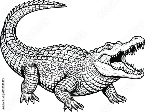 Detailed crocodile with open mouth vector artwork