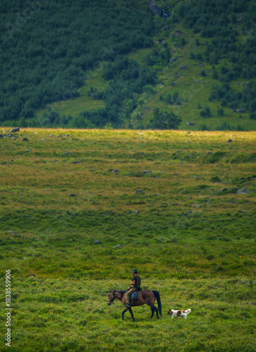 Horse rider with dog crossing green mountain valley