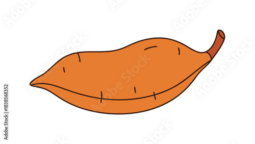 Simple Hand Drawn Illustration of a Single Orange Sweet Potato with Brown Stem on Black Background