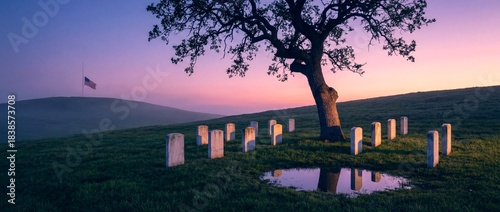 Sunset at a cemetery with a tree and stone markers