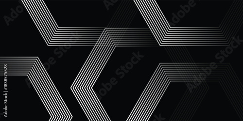 Fototapeta Naklejka Na Ścianę i Meble -  Abstract Hexagonal Shape of Interlaced Geometric Lines, Vector illustration.