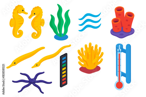 Aquarium Life Icons. Isometric vector illustration set Aquarium life – seahorse pair, macroalgae frond, sponge cluster; pipefish,