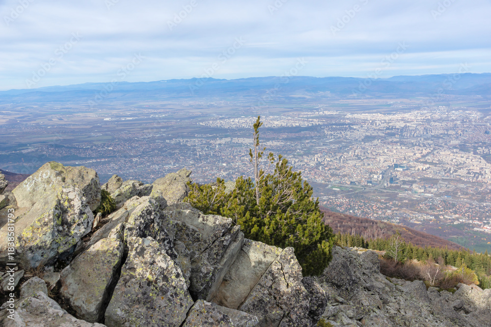 Fototapeta premium Landscape of Vitosha Mountain near Kamen Del peak, Bulgaria