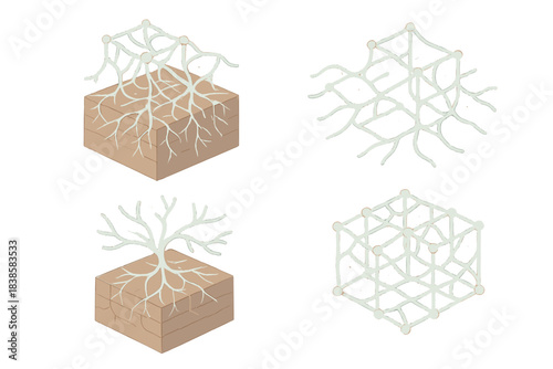 Bio-Digital Symbiosis Network. Isometric vector illustration set Bio-digital symbiosis: mycelial strands forming glowing network