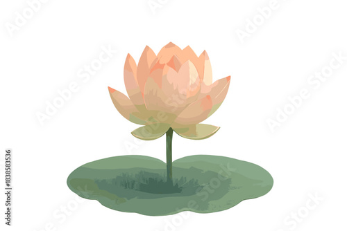 Lotus Blooming Light. a lotus flower slowly blooming above the surface with a tiny timer halo of soft light, blush and jade tones,