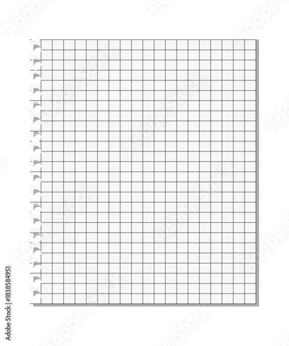 Torn sheet of lined paper with grid lines