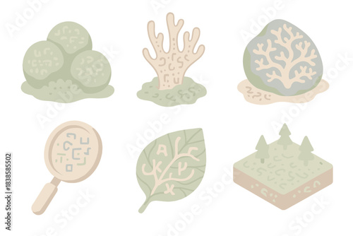 Cryptic Lichen Symbiosis. Isometric vector illustration set Cryptic lichen symbiosis: close-up moss glyphs, coded fungal