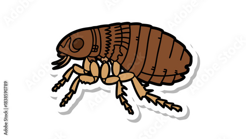 Cartoon Drawing Of A Flea Insect With Brown Body And Six Legs On A White Background With A Shadow Effect