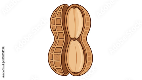 Close up of an opened peanut shell revealing two symmetrical peanut halves isolated on a black background a simple illustration with a detailed textured surface on the shell and smooth interior