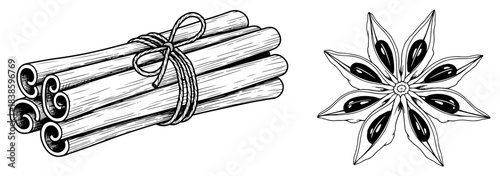 Cinnamon sticks bundle and star anise spice set Hand drawn baking ingredients vector illustration