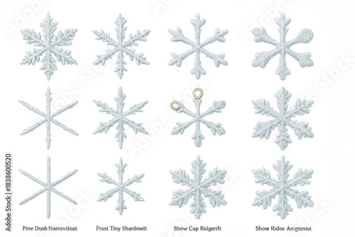 Detailed illustrations of various snowflake types on a black background